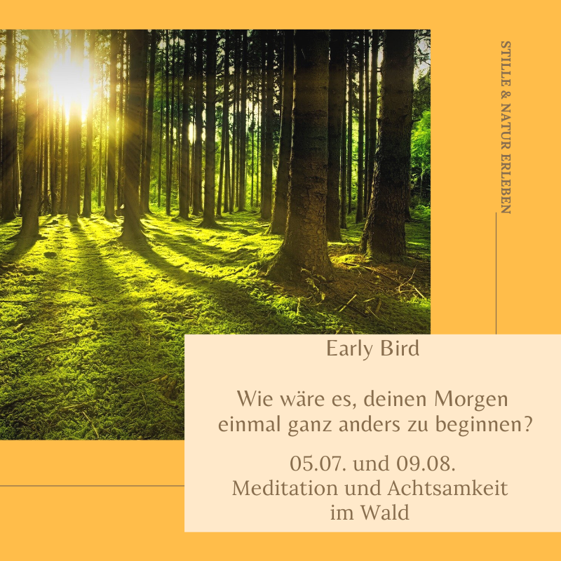 Early Bird Meditation Ramona Wagener, Meditation