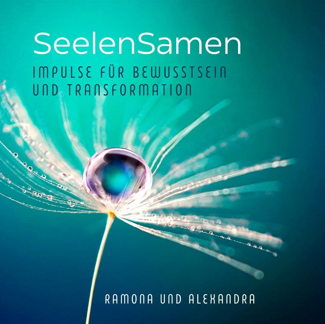 SeelenSamen Kurs